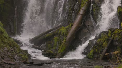 Hermosa-Cascada-En-Las-Cascadas-Del-Sur-De-Oregon-Enmarcadas-Por-Musgo-Verde-Y-Vegetación,-Cataratas-Del-Arroyo-Nacional