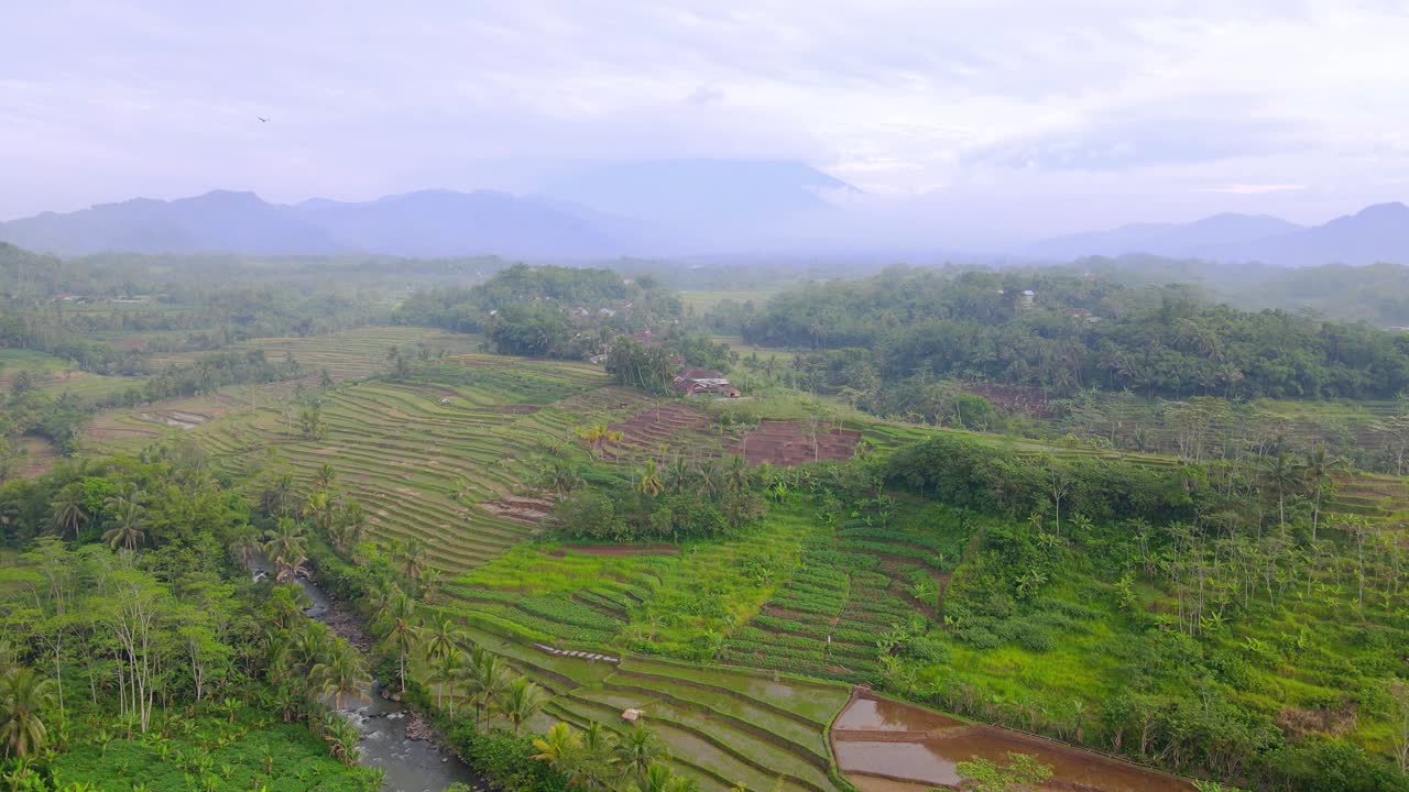 vista aérea del hermoso paisaje tropical por la mañana - impresionante toma de drones con vista al campo de arroz, río y montaña