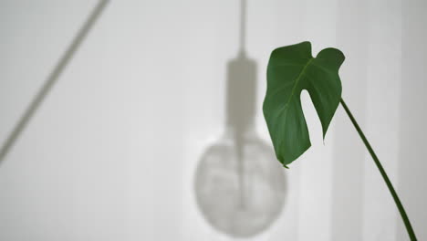 Hausquarantänekonzept-Der-Schnell-Fliegenden-Zeit-Mit-Schatten-Der-Lampe