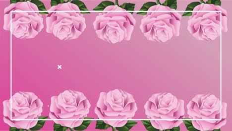 animación de cáncer de mama con cuadros de rosas y flores