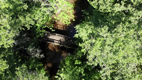 drone descending over dense woodland and wooden pedestrian bridge