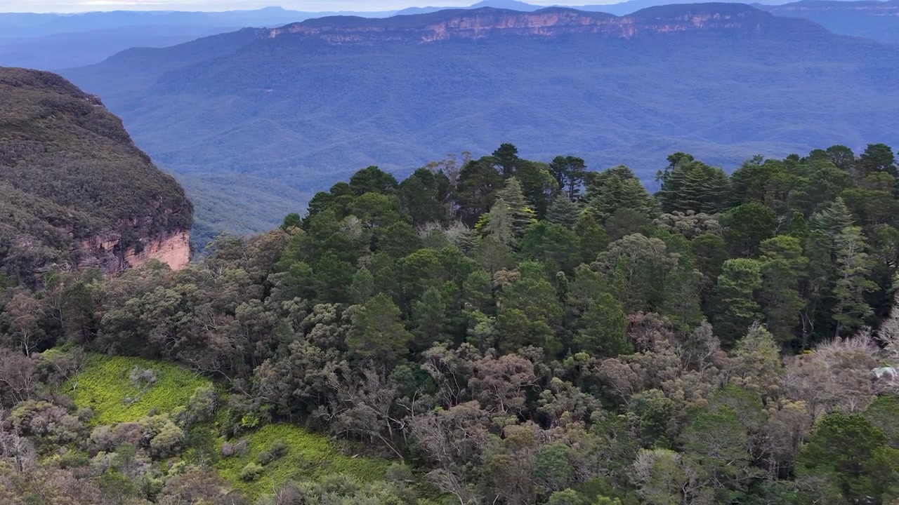 Toma panorámica de un frondoso bosque de eucaliptos y acantilados de arenisca distantes en Wentworth Falls, Australia.