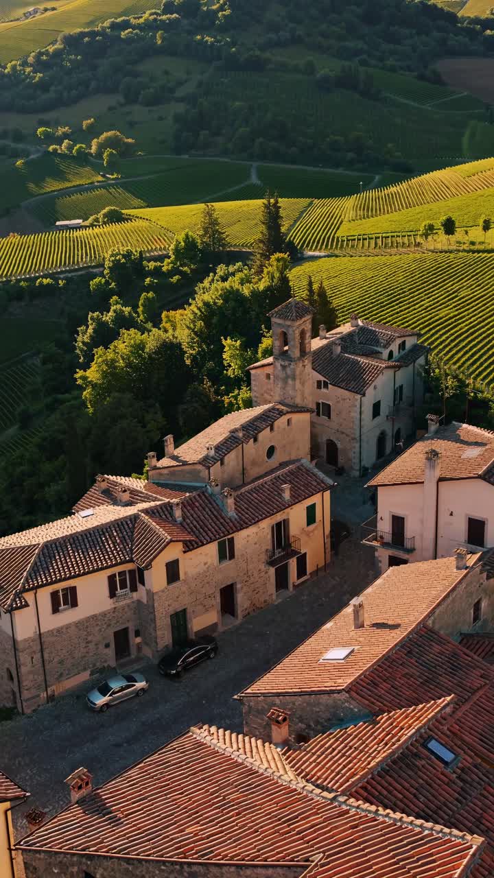 Veduta aerea di un villaggio rustico immerso in rigogliosi vigneti, che cattura il fascino sereno della campagna.