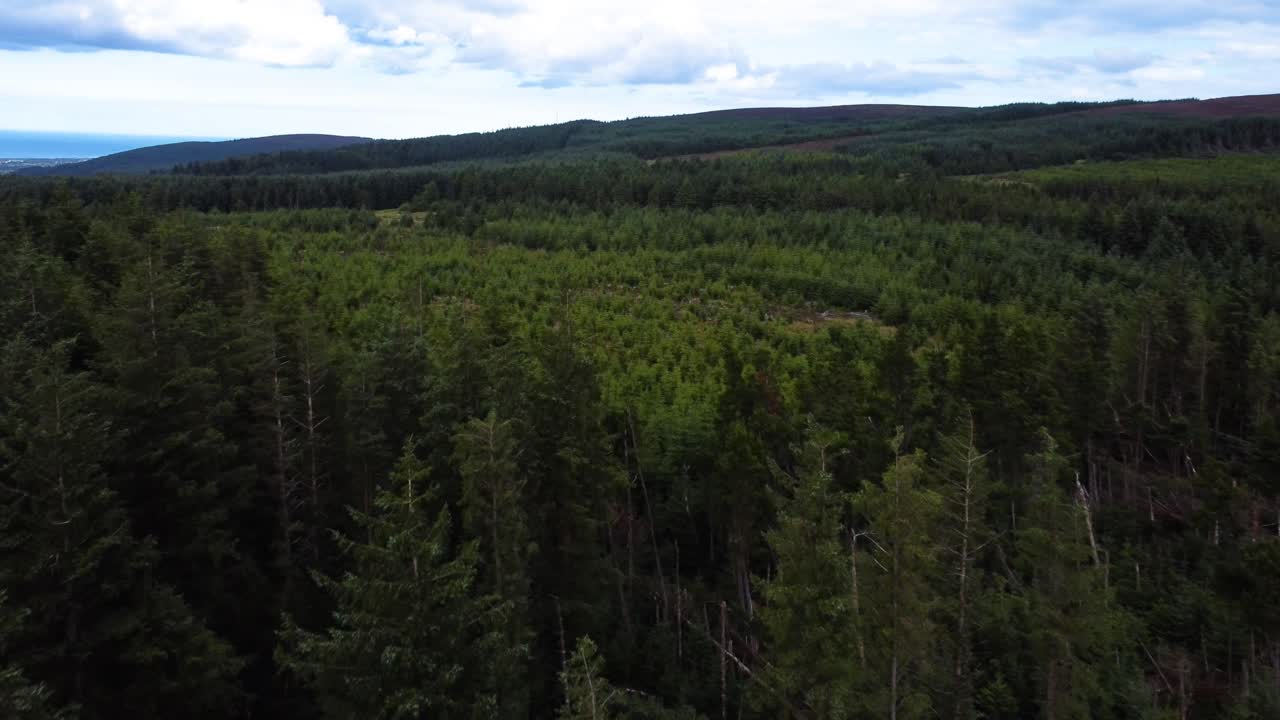 Sorvolo aereo all'indietro sopra una foresta parzialmente deforestata in Irlanda.