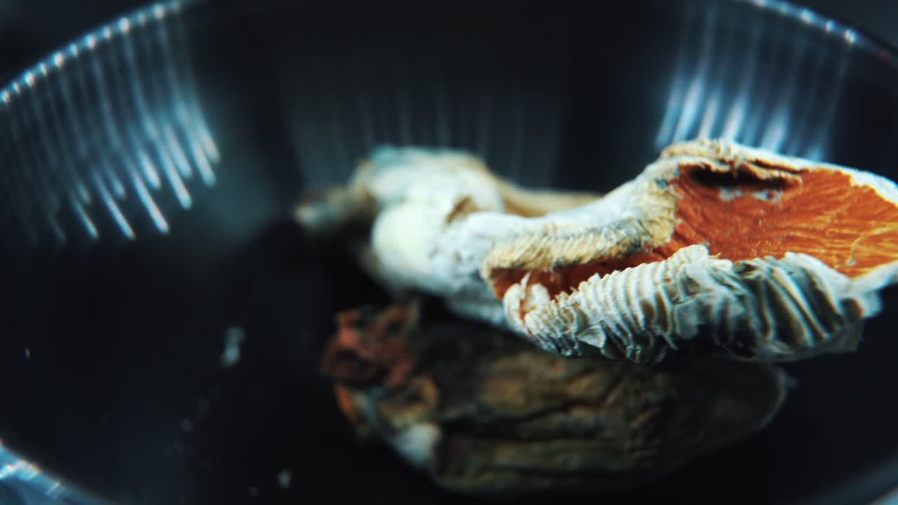 마법의 정신활성 물질인 psilocybin 환각의 매크로 클로즈업 영화 회전  ⁇ 은 검은 빛나는 그 ⁇ 에서 빨간색  ⁇  모자를 가진 말린 버섯, 스튜디오 조명, 4k 비디오