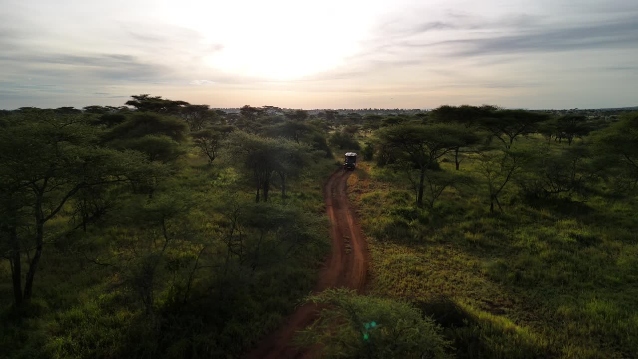 Camion da safari che si allontana su una strada sterrata nel Parco Nazionale del Serengeti in Tanzania