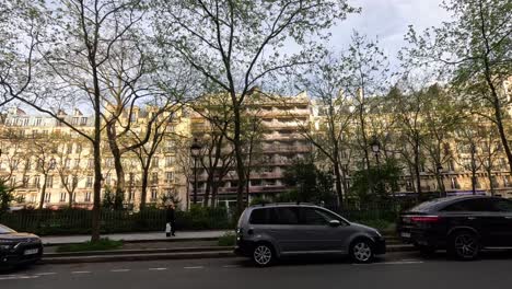 cars moving along a tree-lined paris street