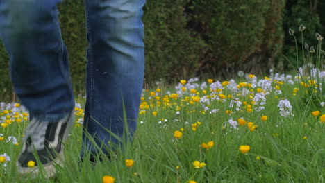 Person-Geht-In-Richtung-Kamera-Bunte-Wiese-Mit-Wilden-Blumen,-Niedriger-Winkel