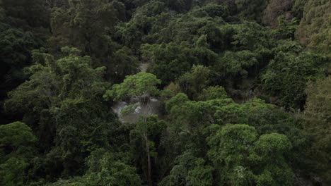 A-river-in-the-middle-of-the-jungle-full-of-green-trees-in-Chiapas,-Mexico,-appears-in-a-forward-drone-shot