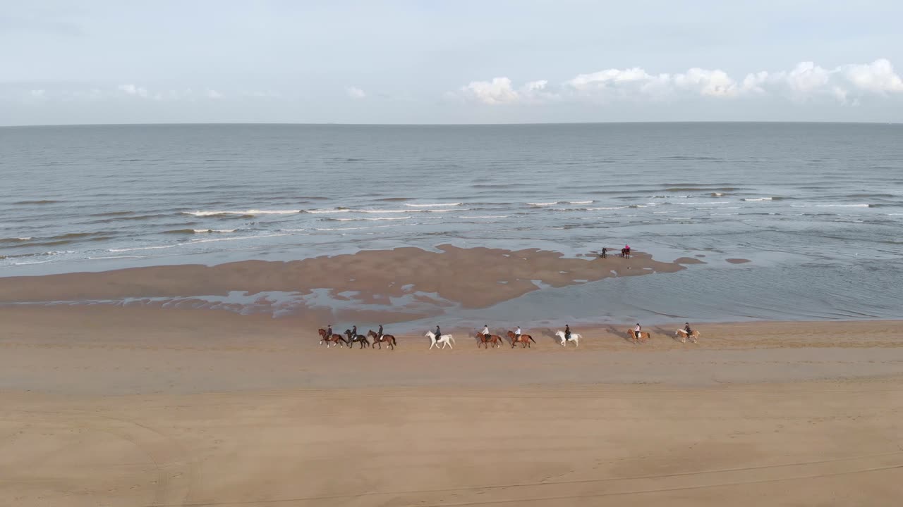 vista aérea de pessoas andando a cavalo na praia na holanda