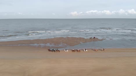 vista aérea de personas montando a caballo en la playa en países bajos.
