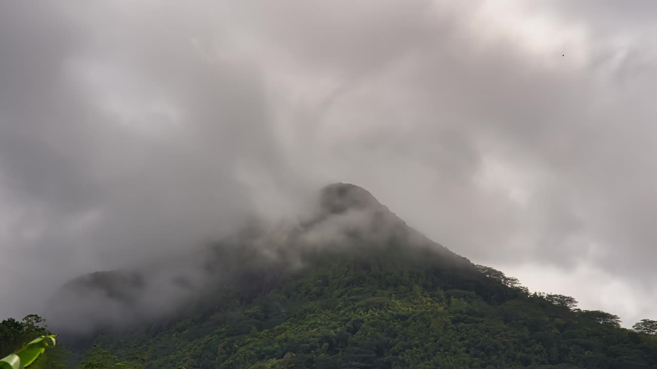 폭우가 내린 후 산 구름의 시간 경과