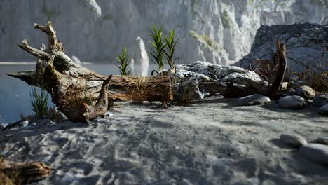 white sand beach near rocky cliffs at ocean