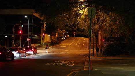 vehicles and pedestrians crossing an urban intersection.