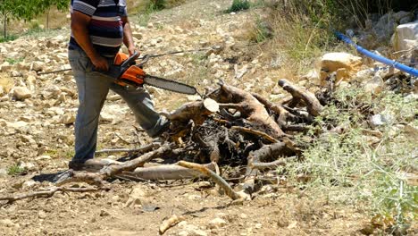 Man-cutting-wood-with-chainsaw-forest