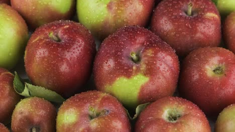 vertical panorama. raindrops fall on ripe, juicy red apples. fruit background.