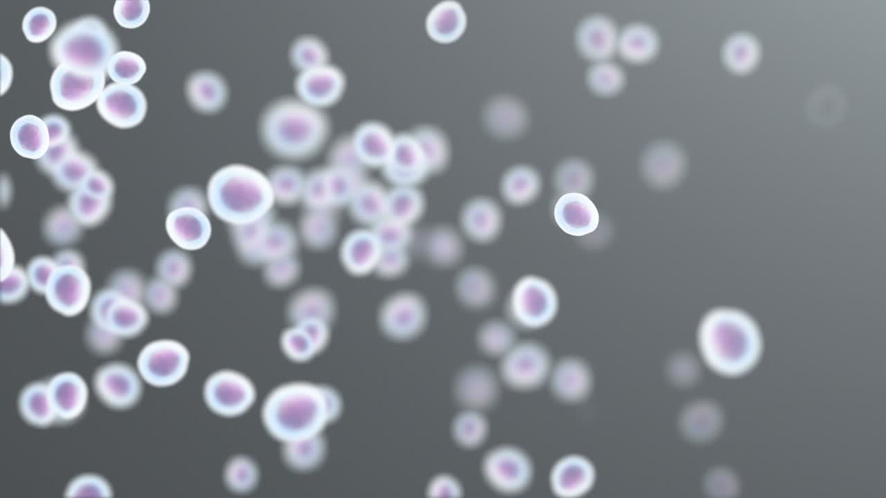 현미경 아래에서 움직이는 세포