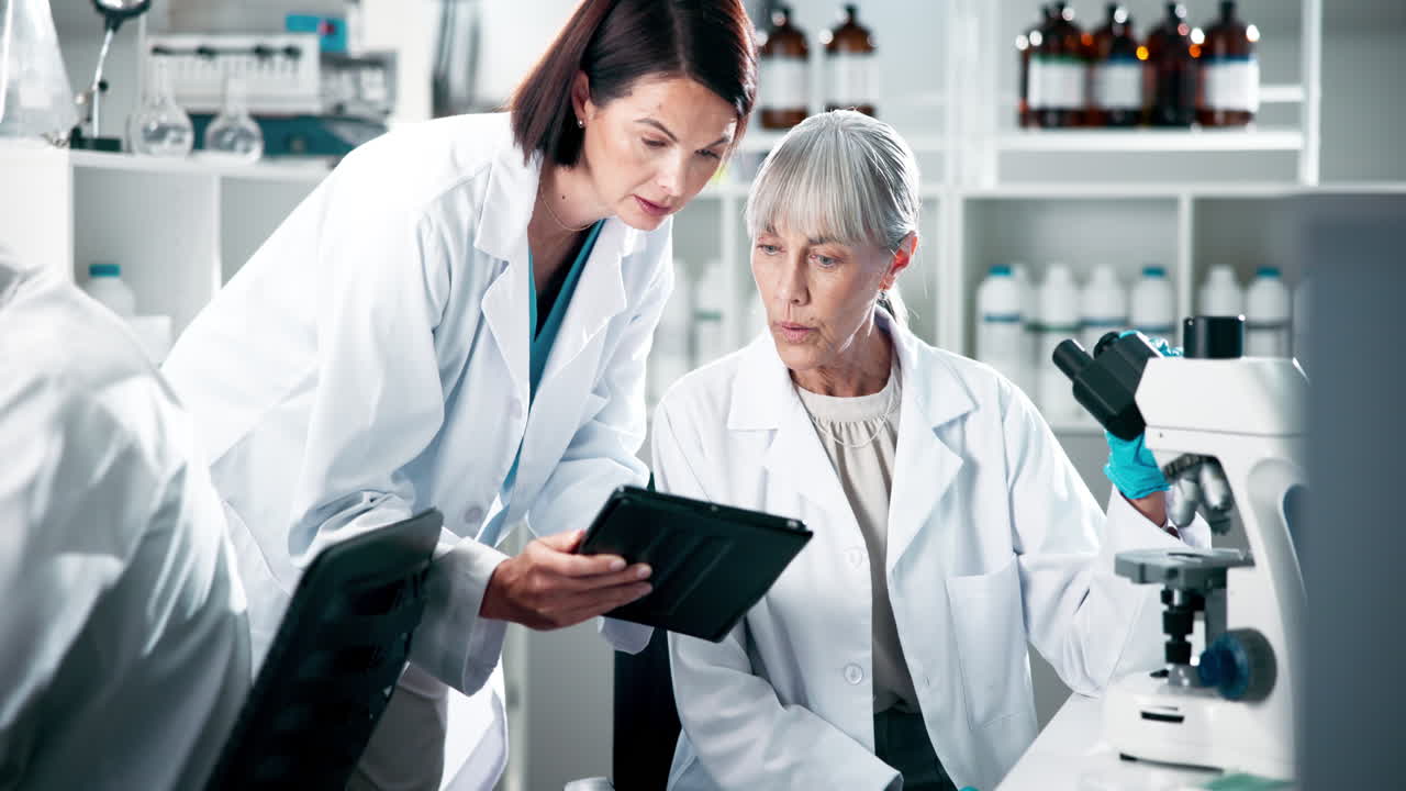 실험실에서 협력하는 과학자들