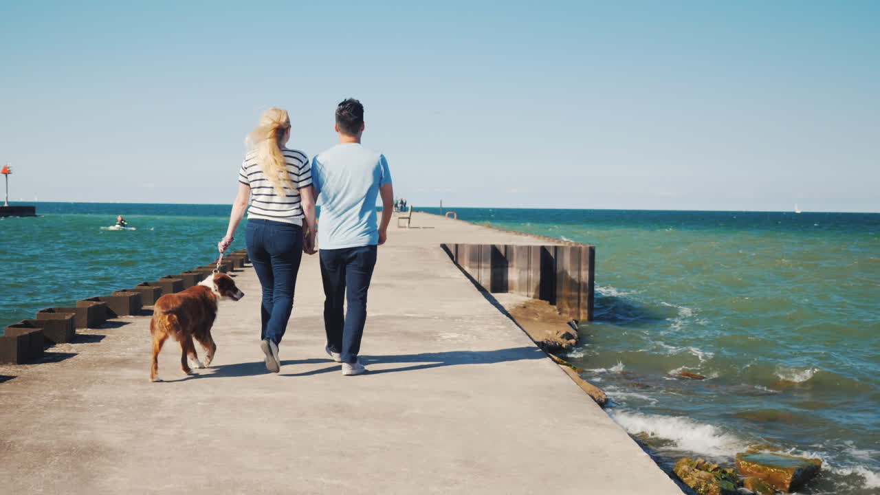 joven pareja multiétnica camina con un perro en un muelle