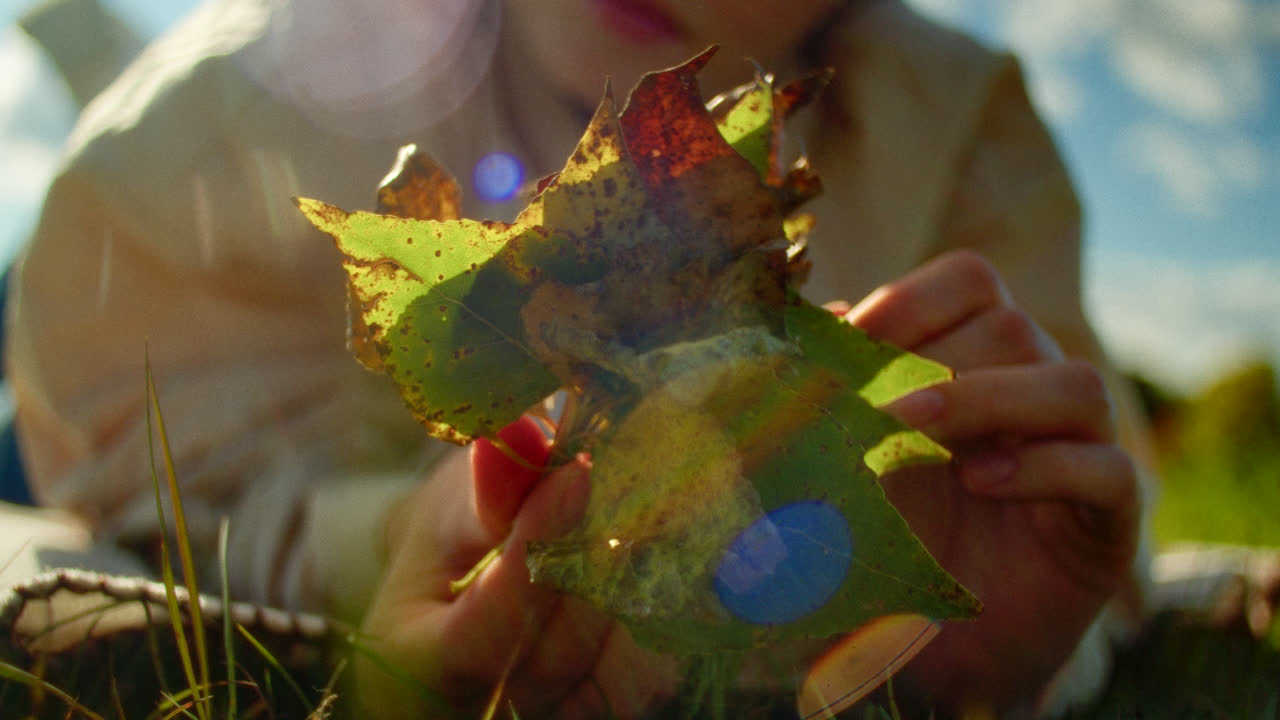 A child lying on the grass, examining leaves