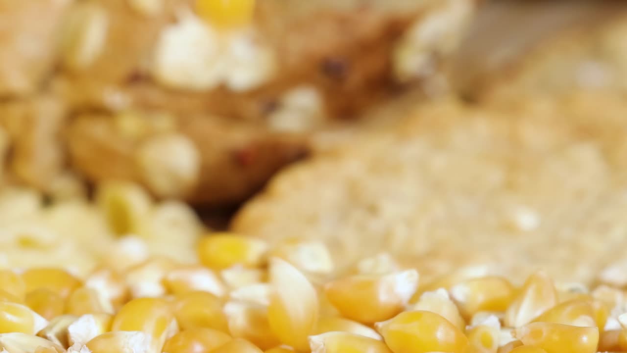 Detailed view of raw corn kernels and slices of bread in warm lighting, highlighting texture and color.