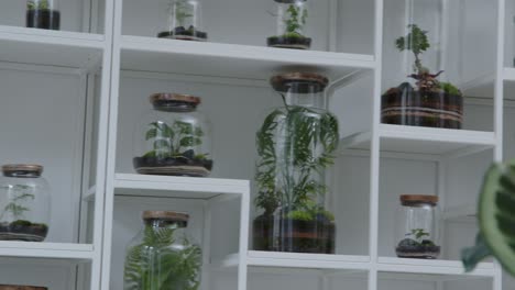 taller botánico con el pequeño ecosistema del bosque en el panorama del terrario de vidrio a la derecha