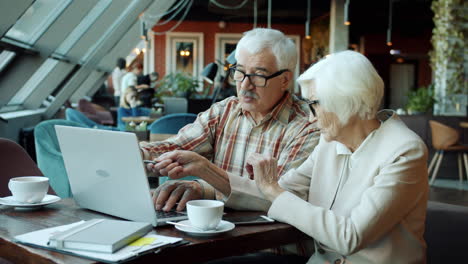 Senior Couple Using Laptop in Cafe