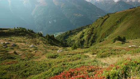 Sommerlandschaft-In-Den-Schweizer-Alpen