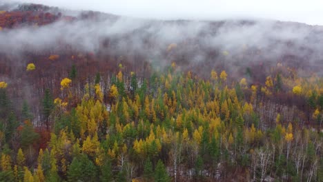 natural autumn fog in mountainous landscape at mount washington, new hampshire, usa