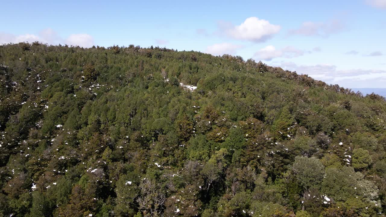aeria는 칠레 oncol 공원에서 눈이 거의 없는 숲의 샷을 밀어냅니다.