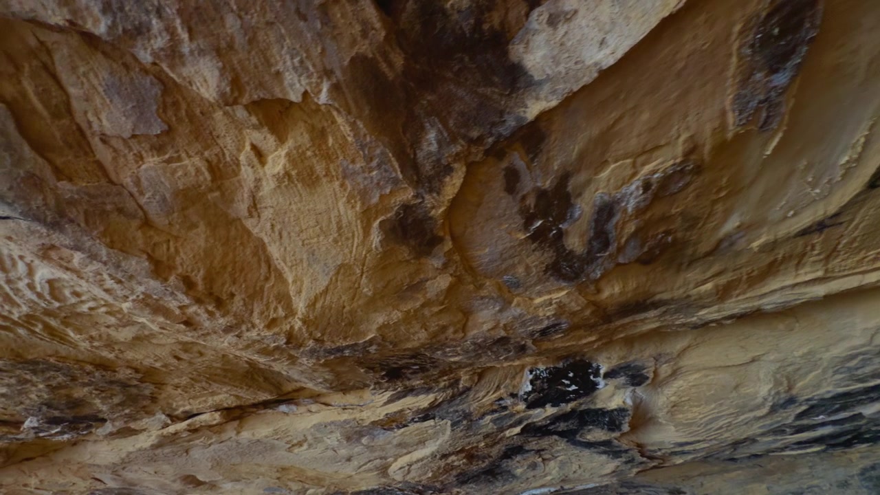Ossa fossilizzate conservate all'interno di una formazione rocciosa sedimentaria, soffitto di grotta caratteristico, primo piano medio.