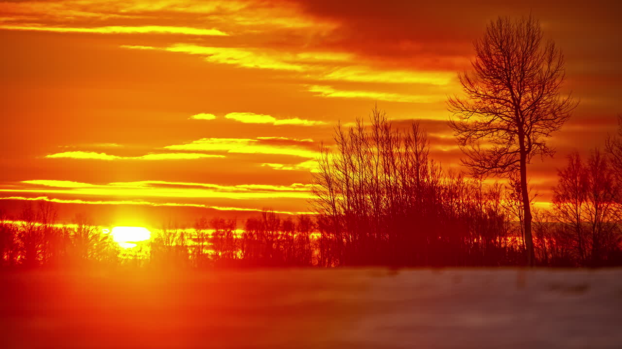 toma de lapso de tiempo del amanecer dorado que se eleva en el cielo con nubes durante el día de invierno nevado - primer plano borroso con árboles sin hojas - material de 4k