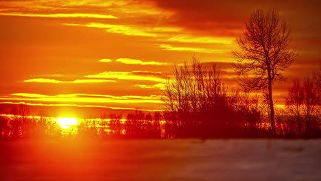 Time-lapse-shot-of-golden-sunrise-rising-at-sky-with-clouds-during-snowy-winter-day---Blurred-foreground-with-leafless-trees---4K-Footage