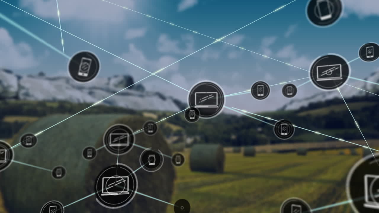 animación de una red de iconos digitales contra los céspedes en los pastizales y el cielo azul