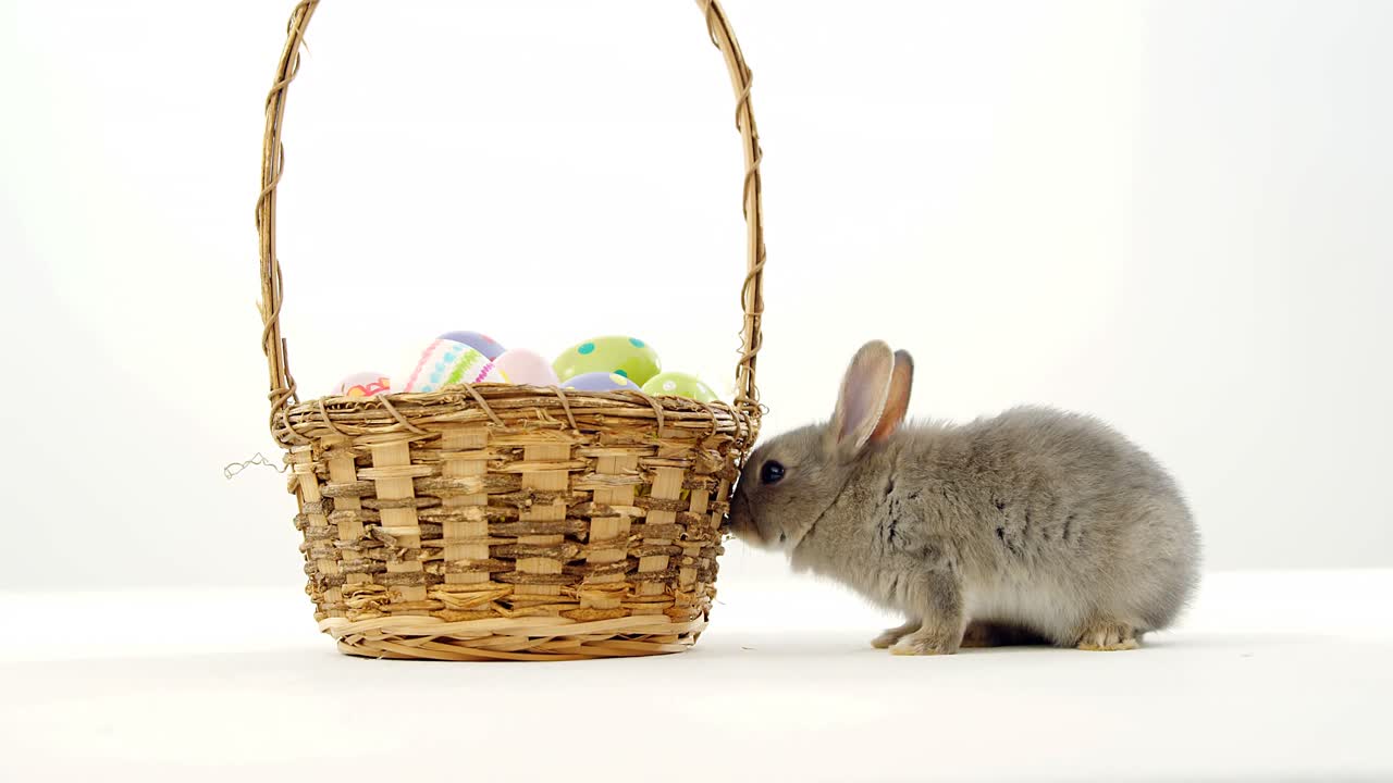 비커 바구니 와 이스터 토끼 에 있는 이스터 달 ⁇