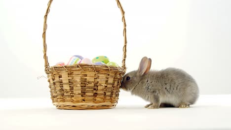huevos de pascua en canasta de mimbre y conejo de pascua