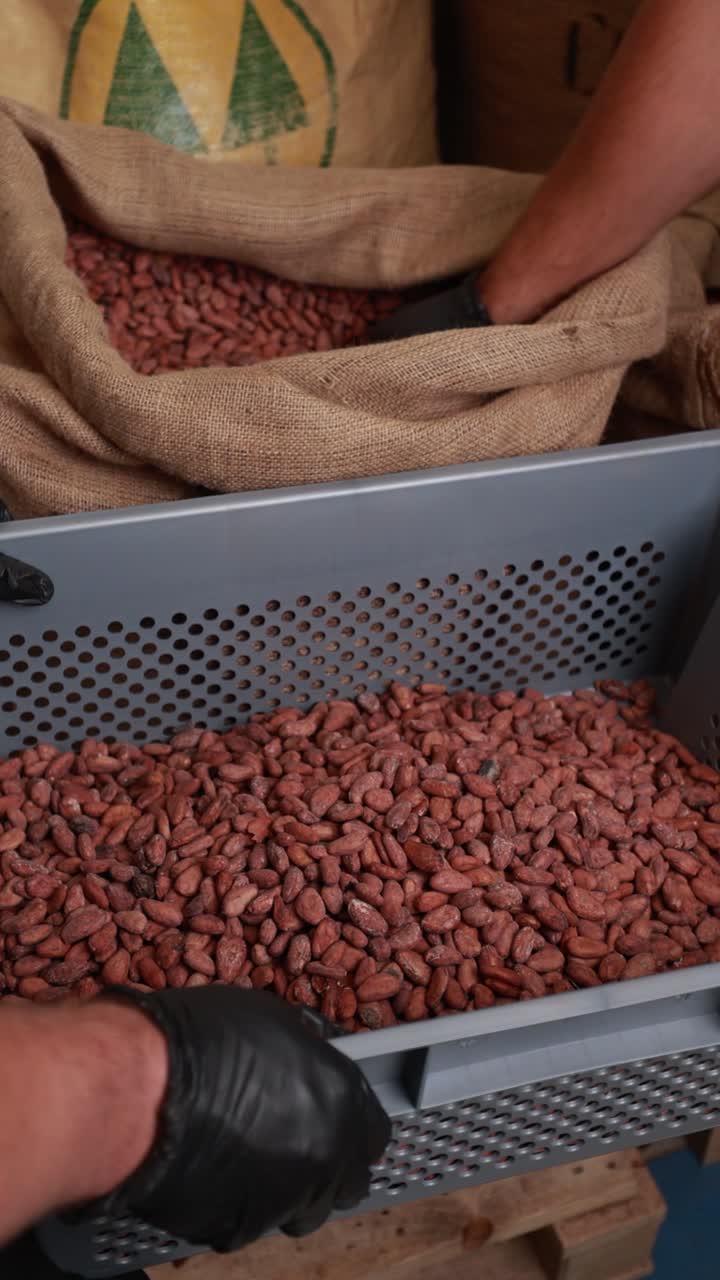 Cocoa Bean Processing