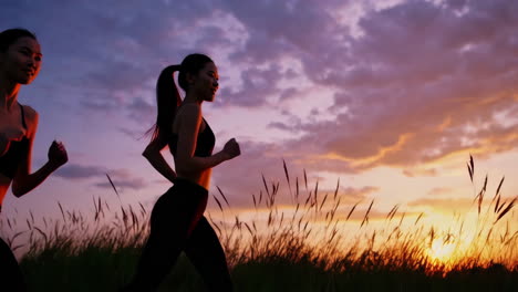 silhouettes of women running in a field at sunset