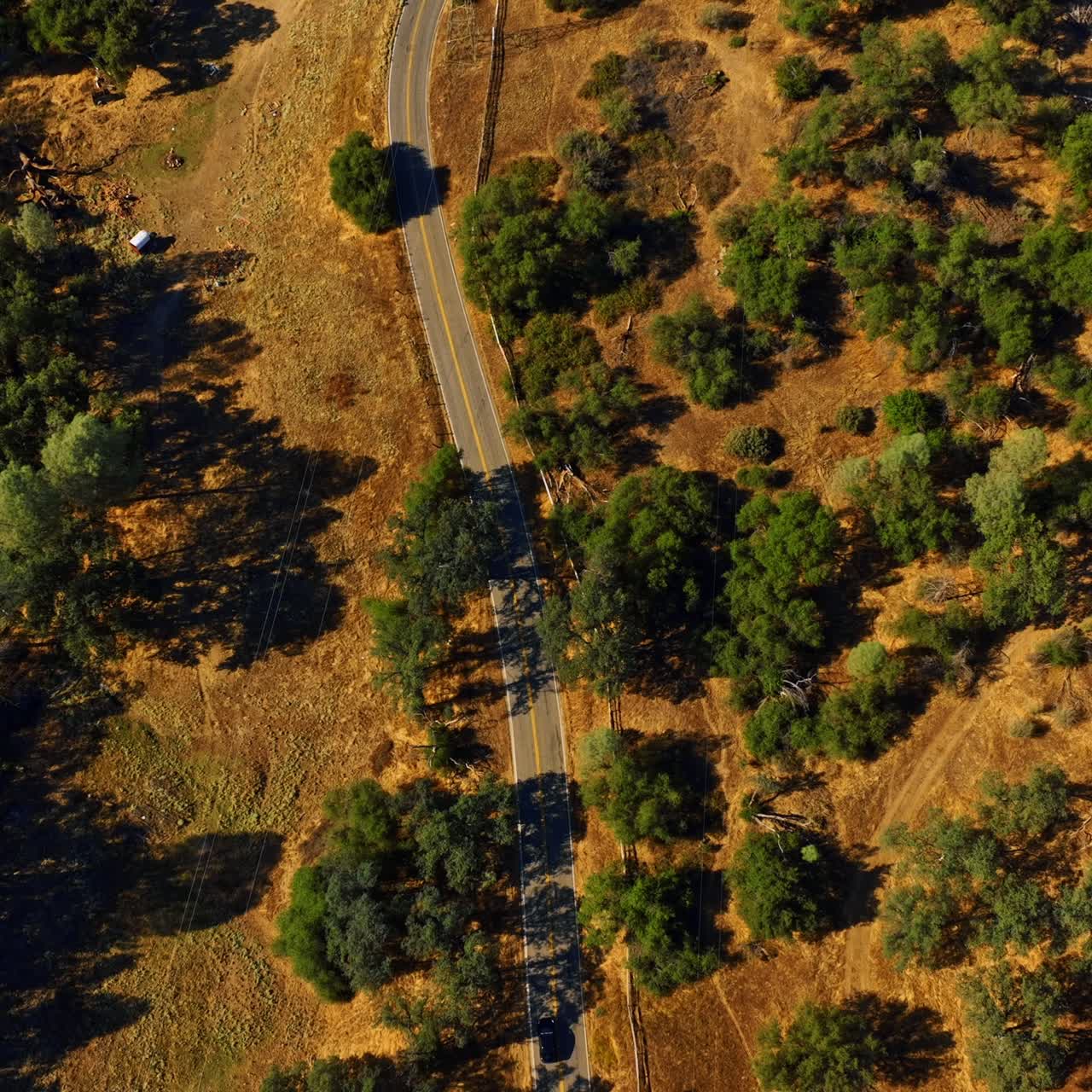 Flying above the dry landscape covered with rare trees. Drone footage above the highway and car going along