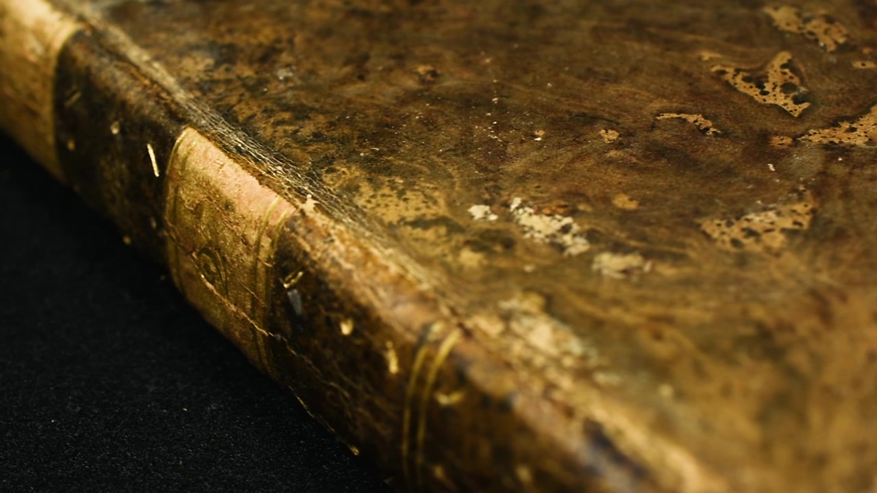 Panoramica sulla texture di una copertina di libro antico