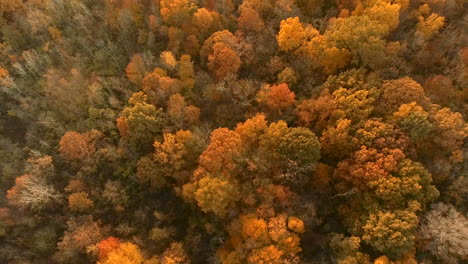 drone-shot-revealing-Westerville,-Ohio-and-cemetery-in-autumn