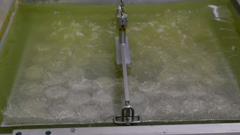 el proceso de fabricación de queso en una fábrica privada de queso.