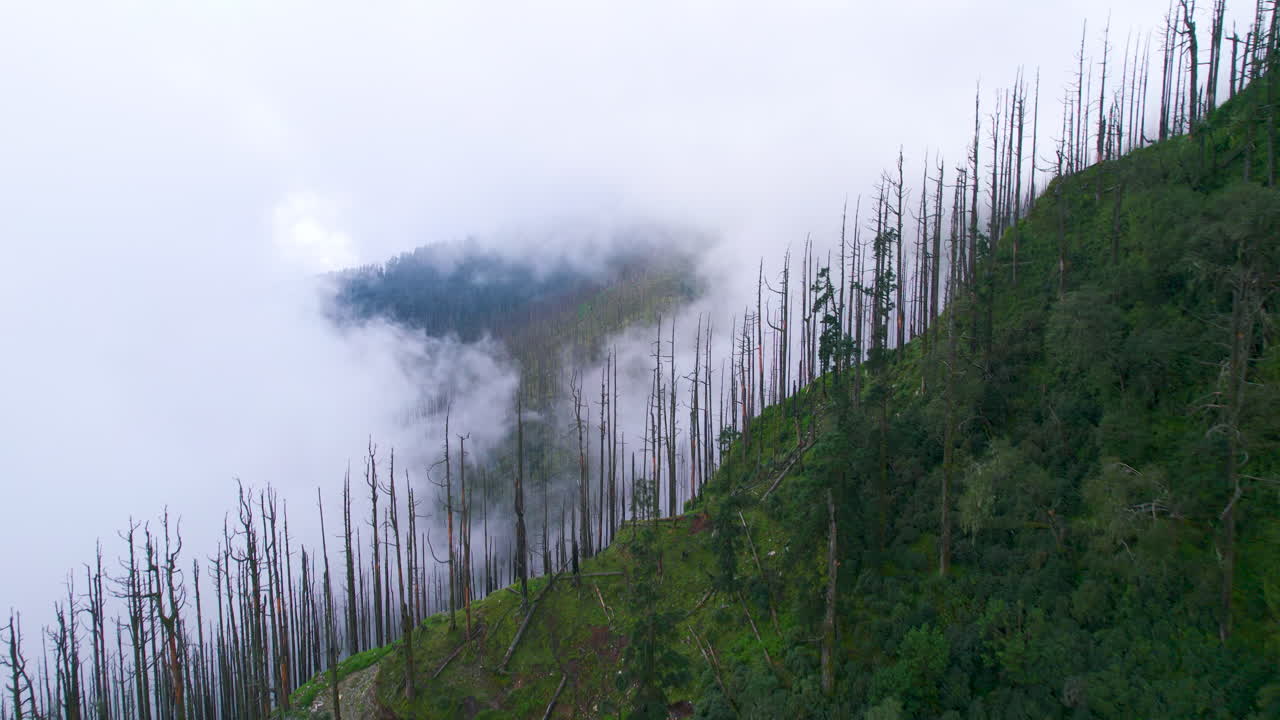 Cinematic drone shot Nepal's hilly cliff with trees, clouds, and fog