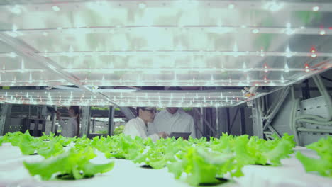 a man and a woman in white coats consider plants growing on a modern farm.