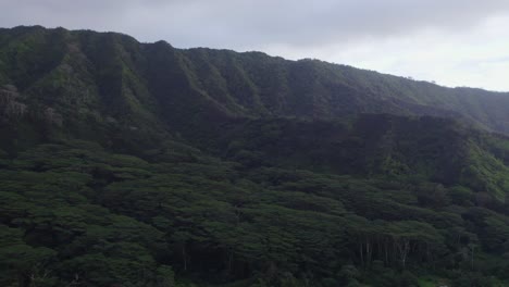 drone footage of the mountainous region of oahu hawaii covered with dense green rainforest in late afternoon