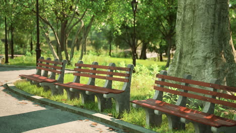 park bench