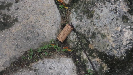 cork on the ground