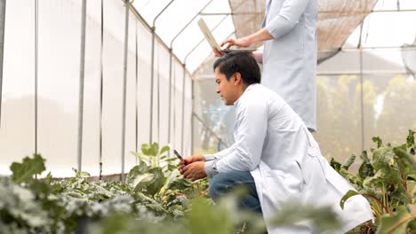 two young biotechnologist in white coat use magnifying glass check baby lecture for research and digital laptop in organic farm. good quality products, remember growing plant, earths day concept.