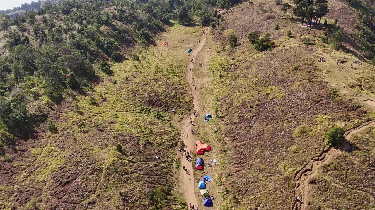 Aerial scenery of people enjoying outdoor trekking and camping in the mountain, surrounded by grassland, pine trees, and a clear view of the trail. Prau Mountain, Indonesia