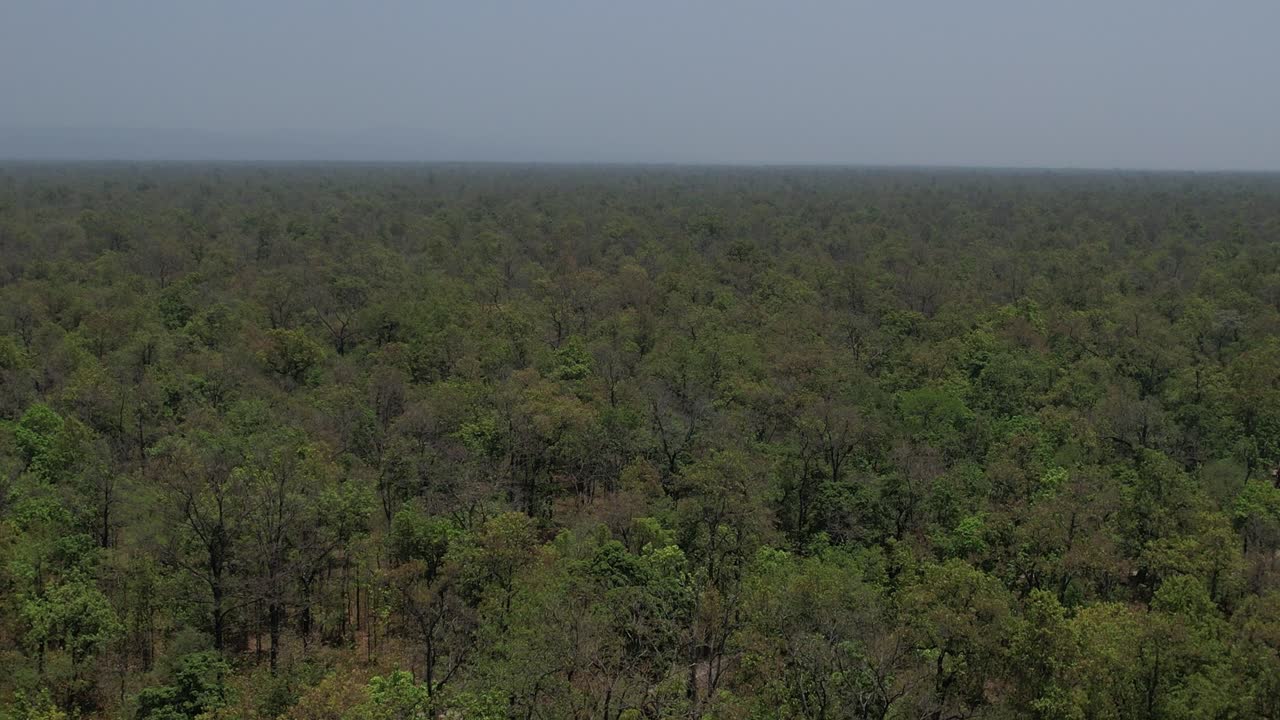 네팔 의 초록색 울창 한 숲